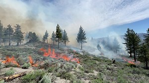 Inyo Hotshot Crew member conducting firing operations on the Antelope RX. | U.S. Forest Service - Inyo National Forest