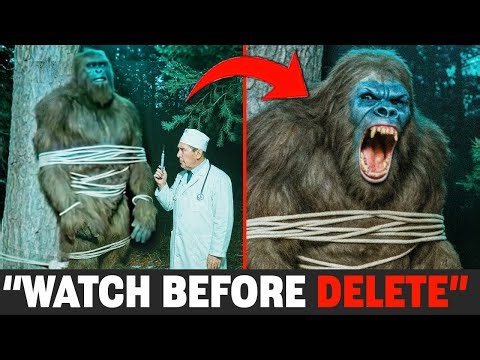 Scientists SHOCK: REAL Camera Captures Finally Solve Bigfoot Mystery, Caught on Camera