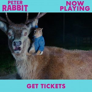 355K views · 7.8K reactions | Everyone’s going wild for the #1 Family Movie in America - experience the “irresistibly entertaining” #PeterRabbitMovie today!  | Peter Rabbit Movie | Facebook