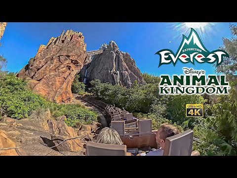Expedition Everest Roller Coaster On Ride 4K POV Disney's Animal Kingdom 2025 10 13