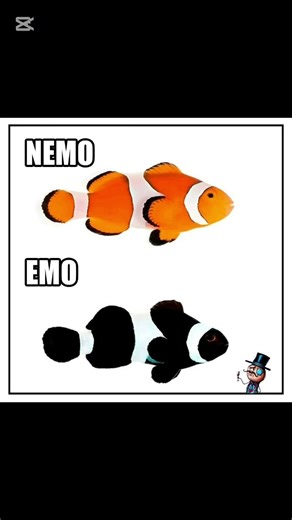 emo 🤣🤣🐠 #memes #humor #shorts