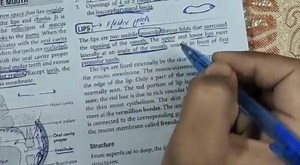 9.7K views · 908 reactions | Mouth Anatomy Part-2 | Up Teaching Academy | Facebook