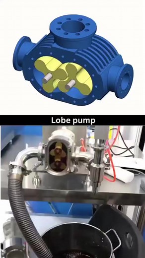 Lobe pump 🔧⚙️ | Petroleum encyclopedia