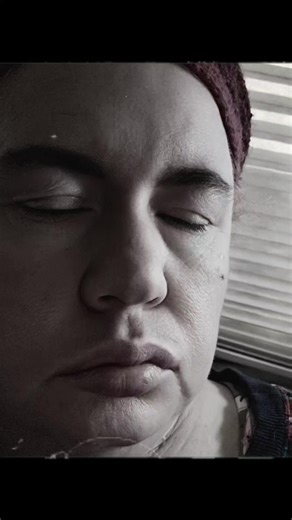 Brook | Art | Human she/her (@brookarthuman)’s videos with original sound - Fox