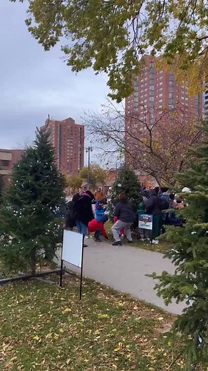 Tree decorating in the ❤️ of Downtown! 🌲 From students to neighborhood groups, Milwaukee’s creativity is on full display as over 100 organizations decorate trees in Cathedral Square Park through November 19. Stop by, snap a few photos, and see the park light up with local spirit! 💡🎁 | Milwaukee Downtown