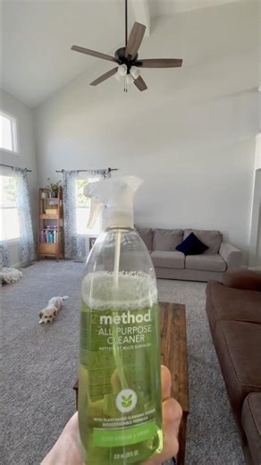 Quick Living Room Tidy