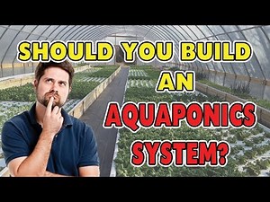 🌿 17 Benefits of Aquaponics - SHOULD YOU BUILD A SYSTEM? 🌿