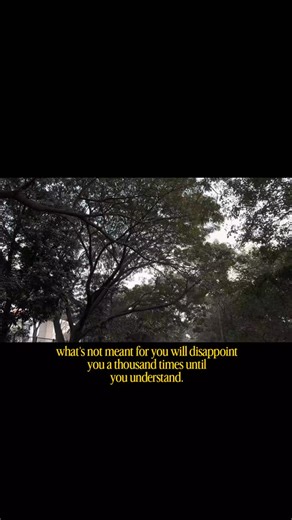 pluto on Instagram: "some lessons repeat until you learn . . . . [ life lessons, adulting, life, facts, random thoughts, life, fashion, bangalore, evenings, trees, lessons, learnings, strength ] . . . . #adulthood #trendingreels #fypppppppppppppppppppppppppppppppppppppppppppppppppppppppppppppppppppppp #foryou #strength"