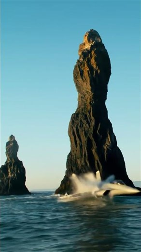 Fighter jet's stunning low-level pass. #f18