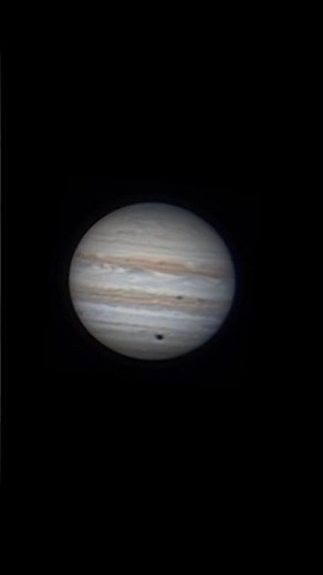 Jupiter's storm belts live through amateur telescope