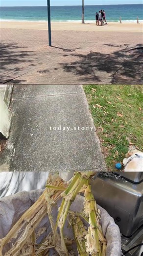 Sydney Diaries, week 2