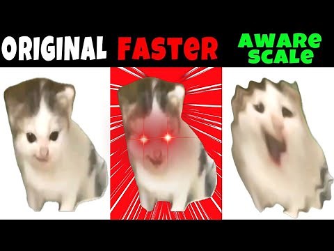 German Cat Meme in Different Variations