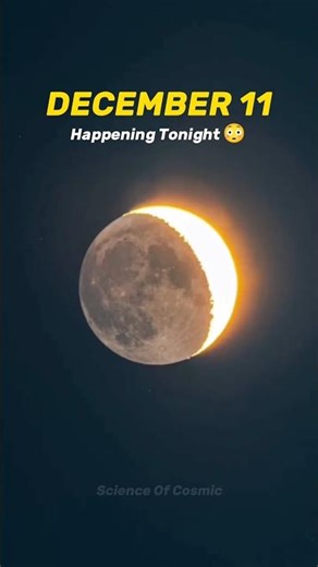 Tonight’s the Last Third Quarter Moon! 🤯💀 #shorts #space #science #astronomy #sun #earth #universe