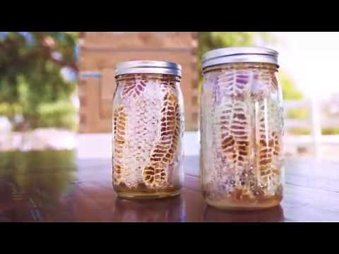 Innovative Beehives for Beginners or Experienced Beekeepers