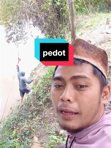 pedot #pedot