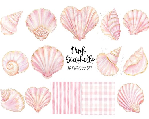Pink Seashell Clipart Pack, Iridescent Pink Mermaid Shells Png, Watercolor Seashell Clipart, Under the Sea Clipart,commercial Use - Etsy