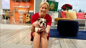 Ina Dietz privat: Wen und was die Sat.1-Nachrichtensprecherin privat liebt