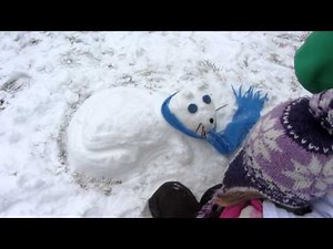 How to Make a Snow Cat
