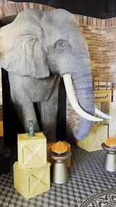 4.1K views · 47 reactions | Where the flavor is enjoyed from the very first glance.  . Donde el sabor se disfruta desde el primer vistazo.  . #HyattZivaLosCabos #mexico #fyp #vacation #allinclusive #resort #travel #loscabos #beach #BeautifulDestinations #TravelMexico #VacayVibes #LosCabosLife #AllInclusiveResort | Hyatt Ziva Los Cabos | Facebook