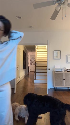 54K views · 655 reactions | Randylrobbinss on Reels | Facebook