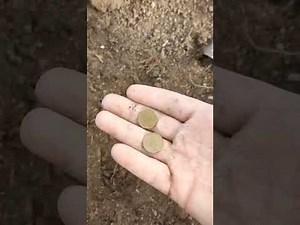 metal detector md 4090