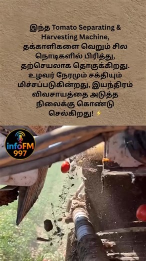 #TomatoMachine #AgricultureTech #FarmingInnovation #TamilFacts #HarvestingMadeEasy #SmartFarming | Infofm 1997