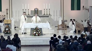 Our daily service | Vincent Pallotti