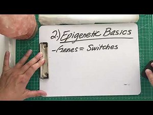 Bruce Lipton’s Biology of Belief Explained | How Your Thoughts Rewire Your Cells and Reality