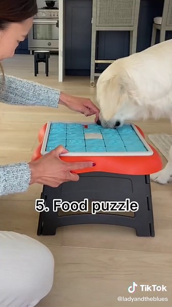 Dog Surgery Recovery Tips and Essentials