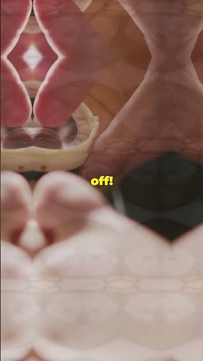 The Truth About Compasses: Magnetic North vs. True North