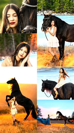 Senior Portraits 🩵💙 with Camelio ANG II ✨🐎 the Black Beauty 🖤 Andalusian