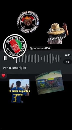 #viral #bdm #seguidores❤ #curtidas #10k