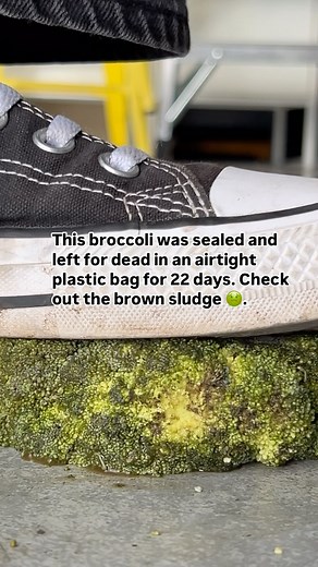 🤔Let’s think about this. Airtight plastic showed up in the 1950s and slowly became the go-to way to store food. For 70 years, it’s ruled our kitchens. But did it ever really keep food fresh? Or are we like frogs in a pot, not noticing the water heating up until we’re cooked? 🐸 Every time I share this, people rush to defend plastic, throwing “science” at me like it’s the absolute truth. But here’s what I want you to think about: Humans get it wrong all the time. Remember DDT, lead paint, asbest