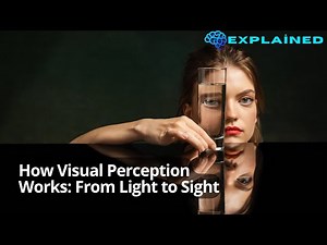 How Visual Perception Works: From Light to Sight
