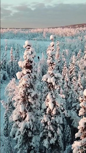 Alaska’s Stunning Landscapes in 4K | Breathtaking Nature #shorts