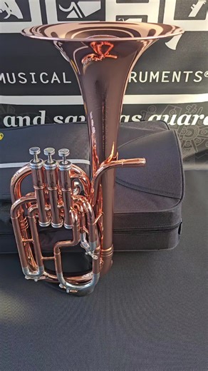 Chequen los acabados 100% Originales Que Solo Puchon Instruments Ofrece! Metal Copper y Metal Plata Sobre El Brass! Le Un Sonido Unico y Bonito Mas Suavecito y Menos Ladino👌. Charchetatas JP Solario Pakal 421 - La Mas Vendida y La Que Si a Entrado En El Buen Gusto De Los Musicos!