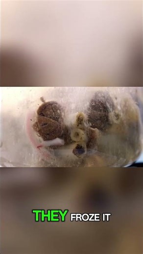 This Animal Survived Space 😳