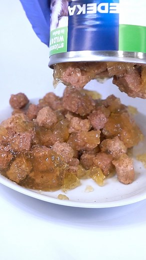 34K views · 220 reactions | When your Cat Refuses to Eat the Food #timelapse #meat #maggots | Time Treats | Facebook