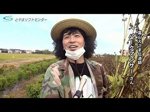 【富山県のニュース】パークマンサーさんとエゴマ収穫（2021/11/16放送）