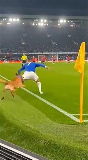 Dog Attacked Ronaldo #aishorts #football