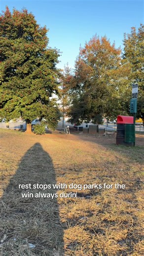 Best Rest Stops with Dog Parks for Road Trips