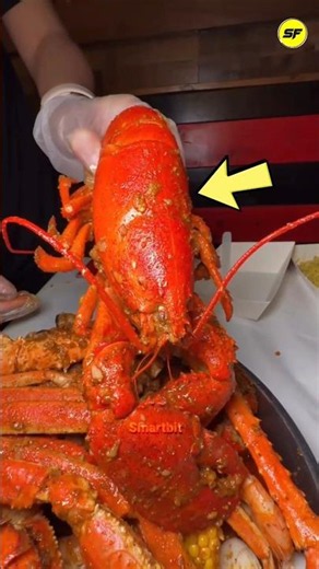 How Lobster Went from Prison Food to Luxury 🦞😳 #facts #shorts