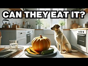 Can Dogs Eat Squash? Explained
