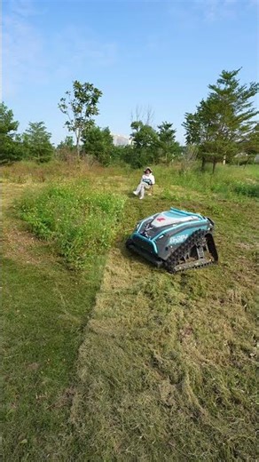 Professional Grade Lawn Mower For High Performance Lawn Care