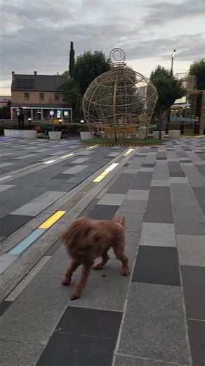 one beautiful evening ✨️ #creatorsearchinsights #fypシ゚viral