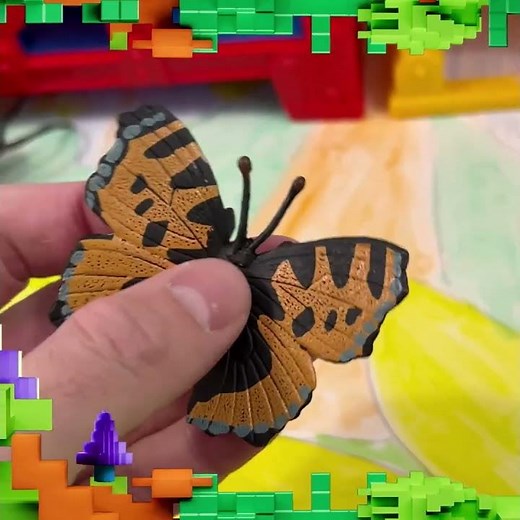 Butterfly Fun Fact! 🦋 Did You Know?
