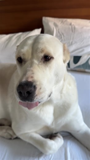 Marge's Concerns About Her Size