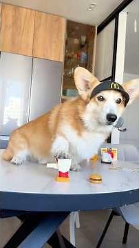 Bentley got a job