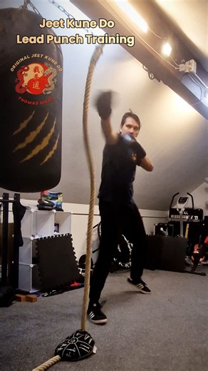 1.6K views · 153 reactions | Jeet Kune Do Straight Lead Punch Training #martialarts #motivational | Thomas Marx | Facebook