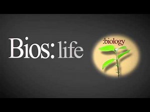 So What is BioLogos?